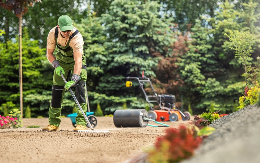 Gardener using rake to prepare soil for artificial turf.