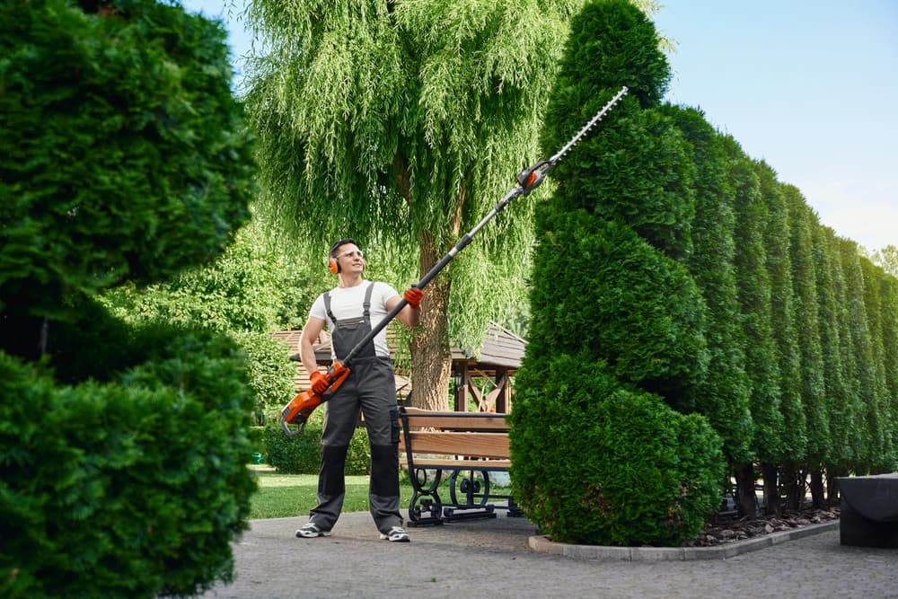 Gardener usin electric trimmer for shaping overgrown hedge.