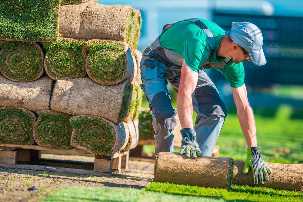 Landscaper installing natural grass