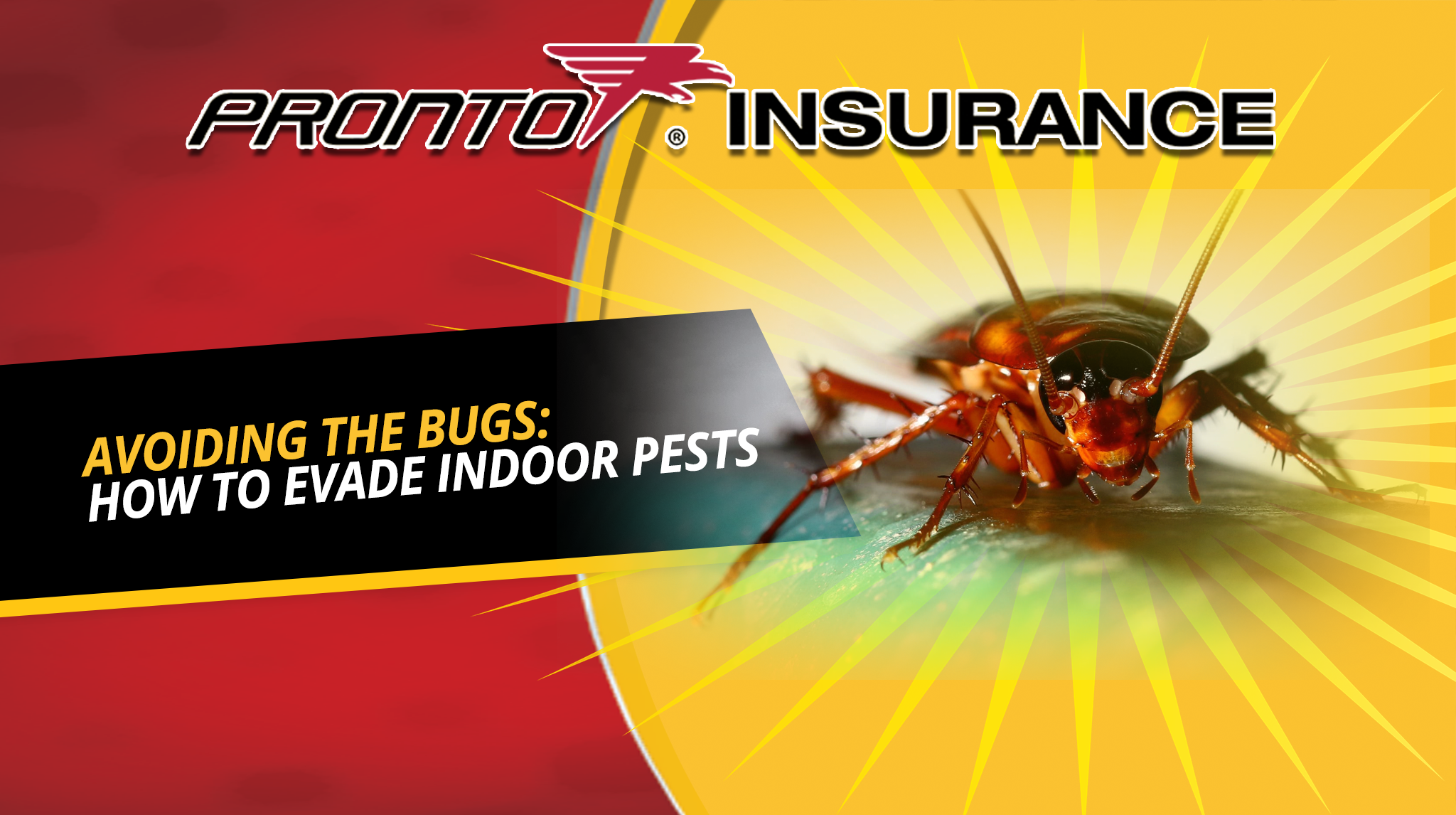 AVOIDING THE BUGS: HOW TO EVADE INDOOR PESTS