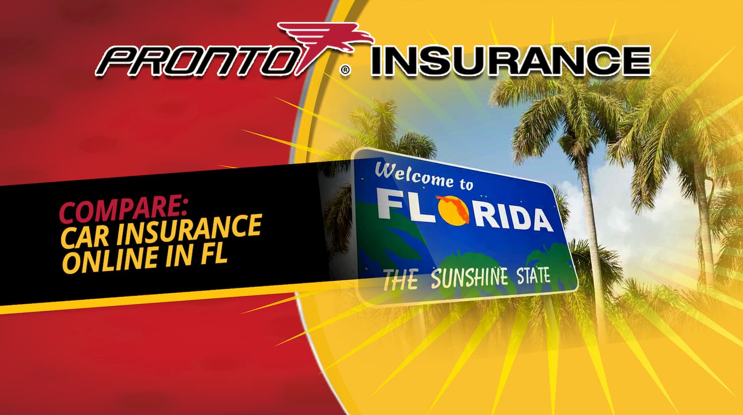 Compare Car Insurance Online in FL