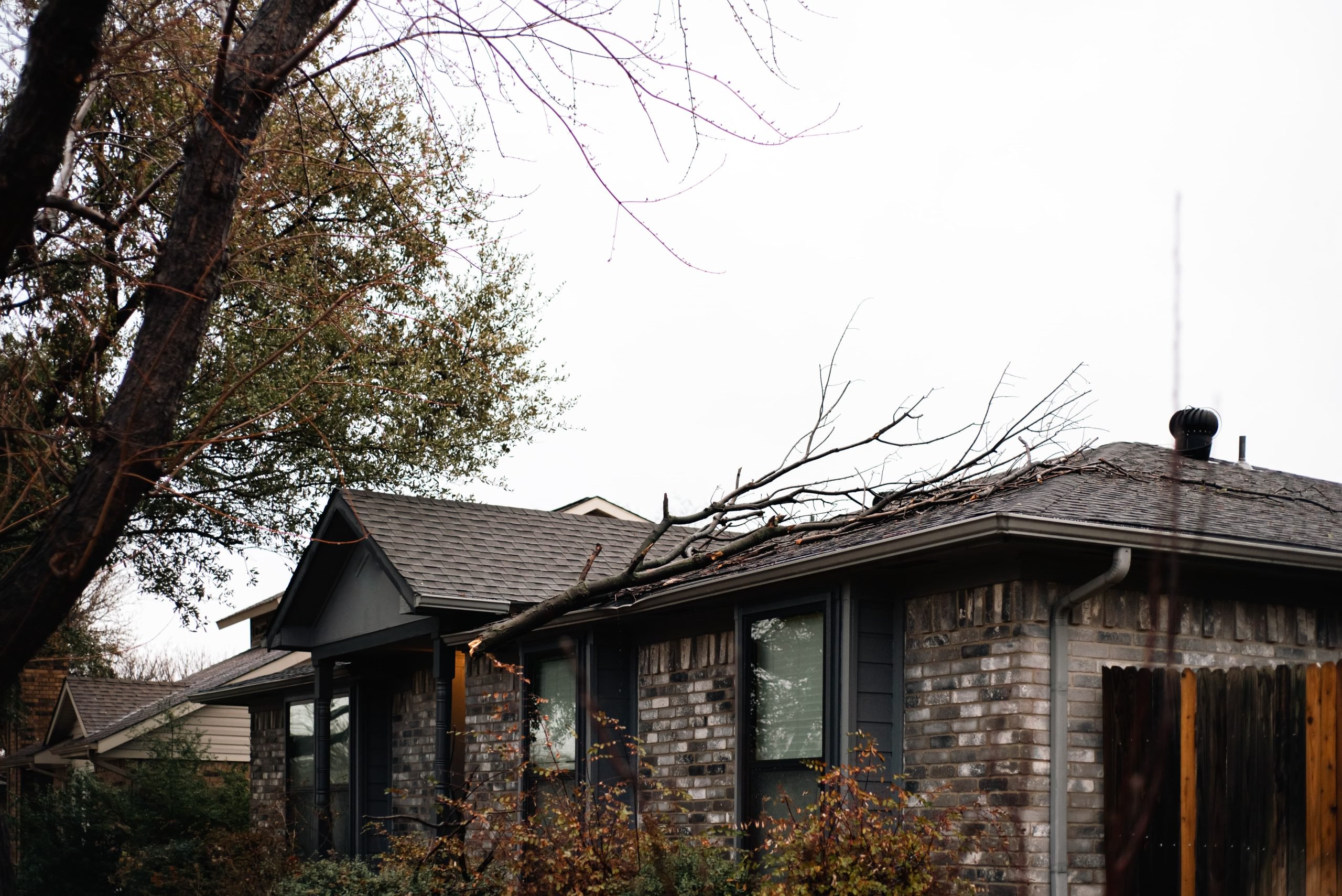 Wind Damage Insurance in Chicago: What Homeowners Need to Know