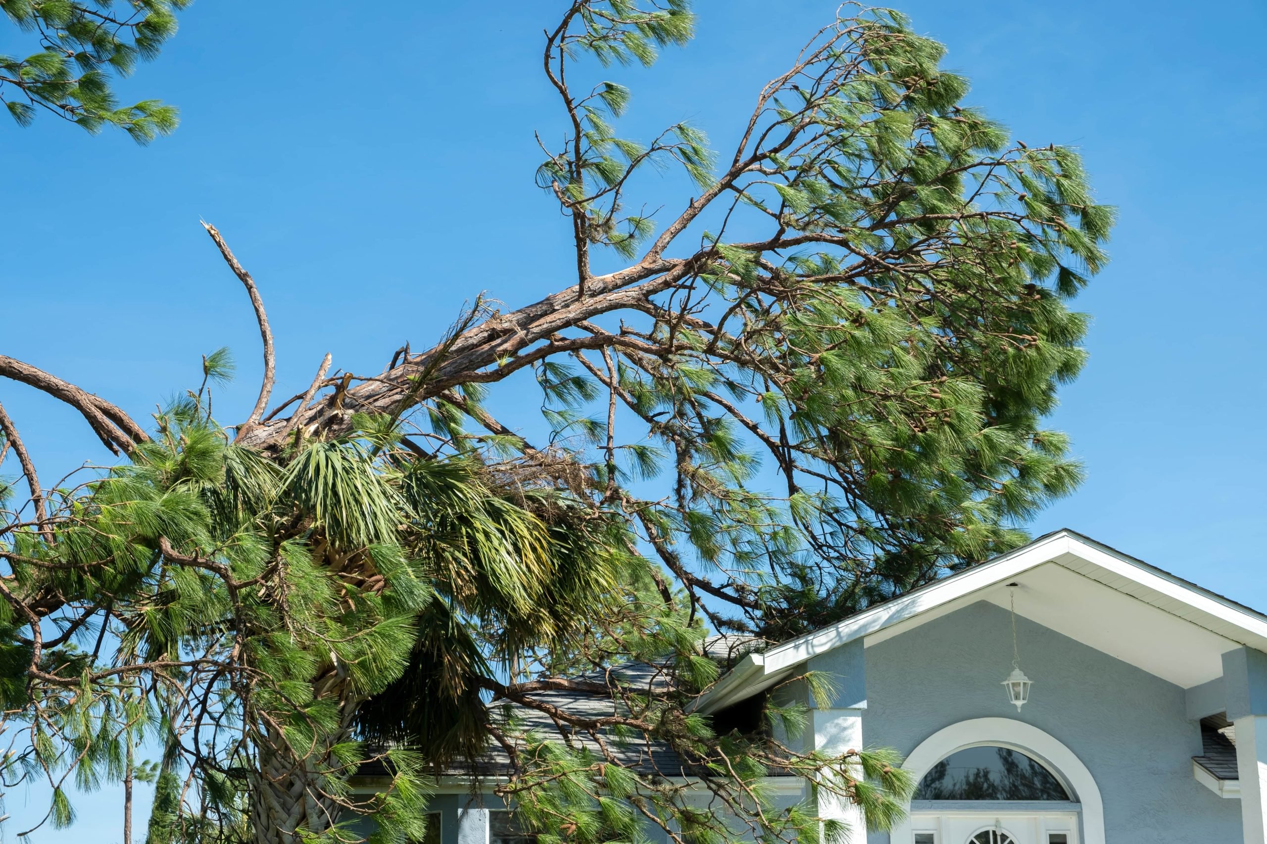 Home Insurance in Chicago: Windstorm Coverage Explained