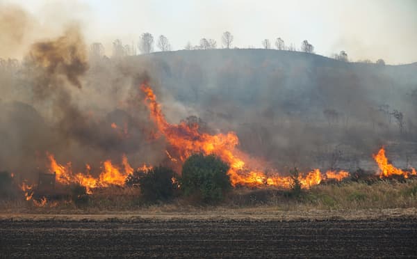 Wildfire Insurance in High-Risk California Areas: What Homeowners Should Know